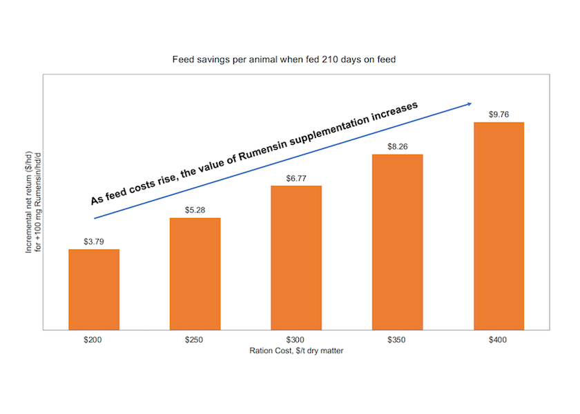 Protect and Optimize Cattle Cost of Gain Into 2023 Drovers